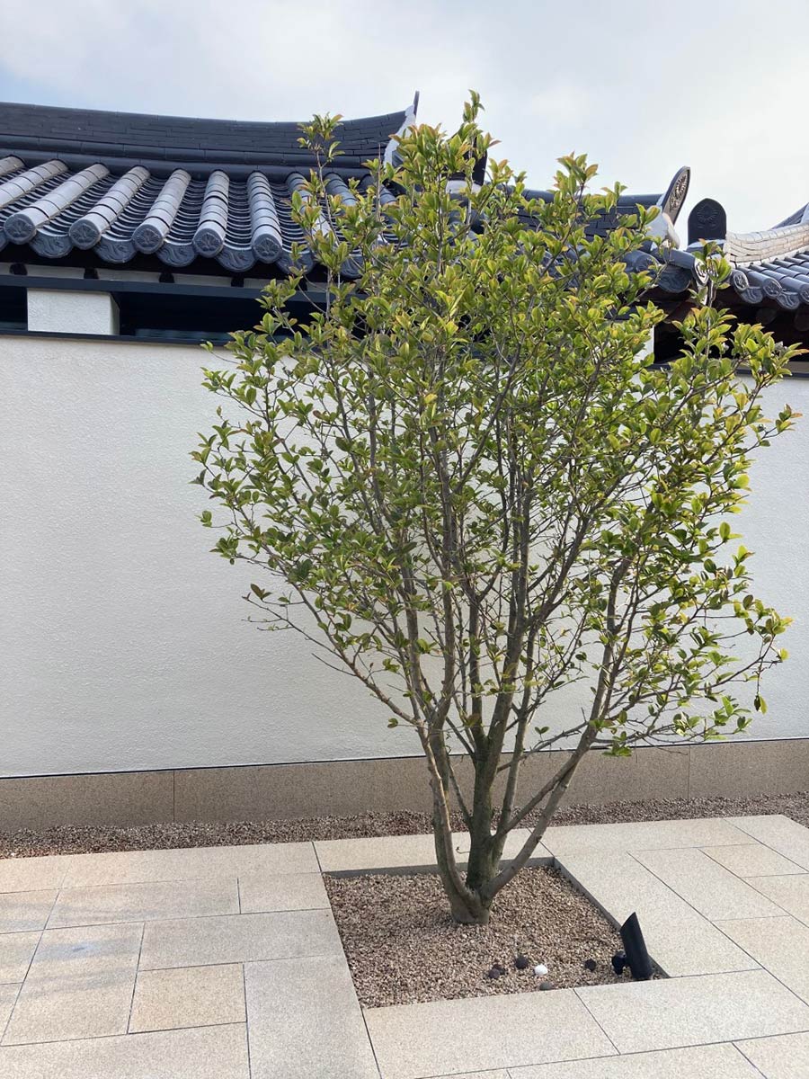 온정여관